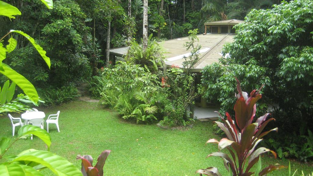 Daintree Deep Forest Lodge ケープ・トリビュレーション エクステリア 写真